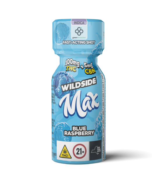 BLUE RASPBERRY | NANO SHOT - 100 MG