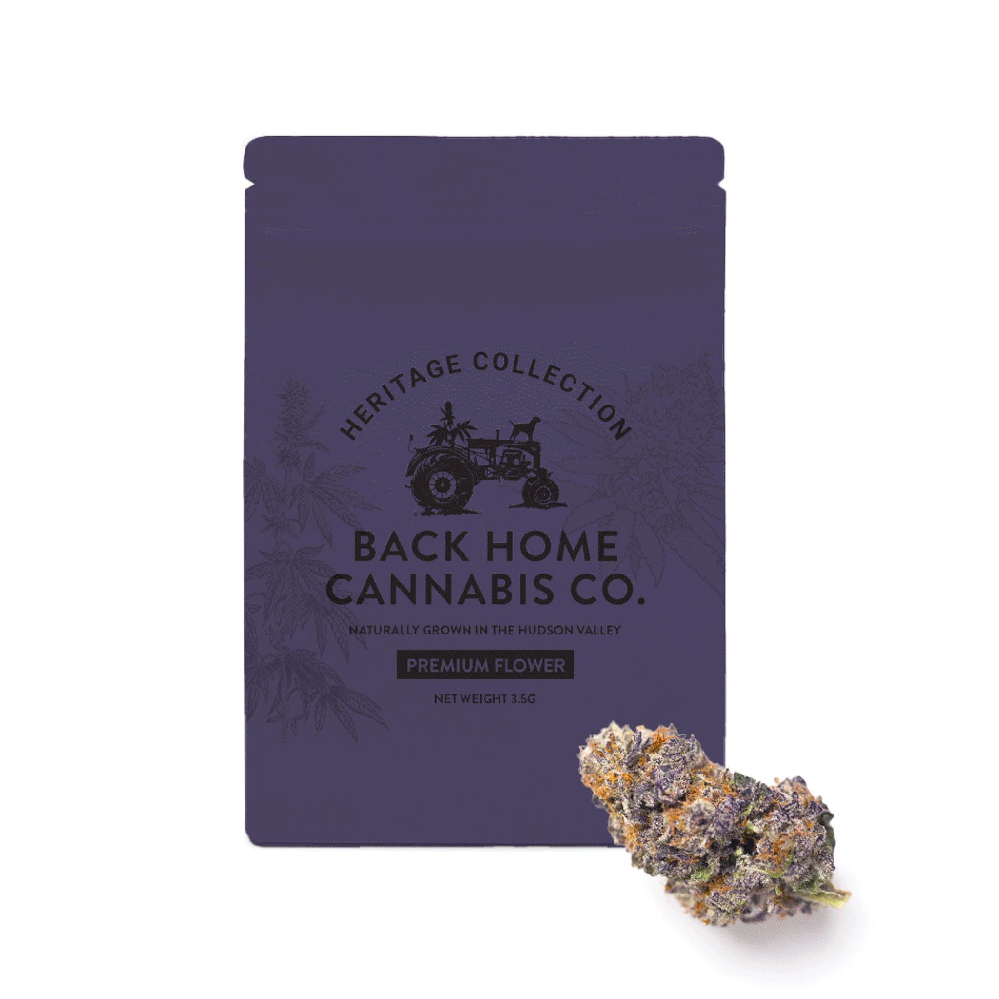 Back Home Cannabis Co. | Gorilla Glue | Flower | 3.5g