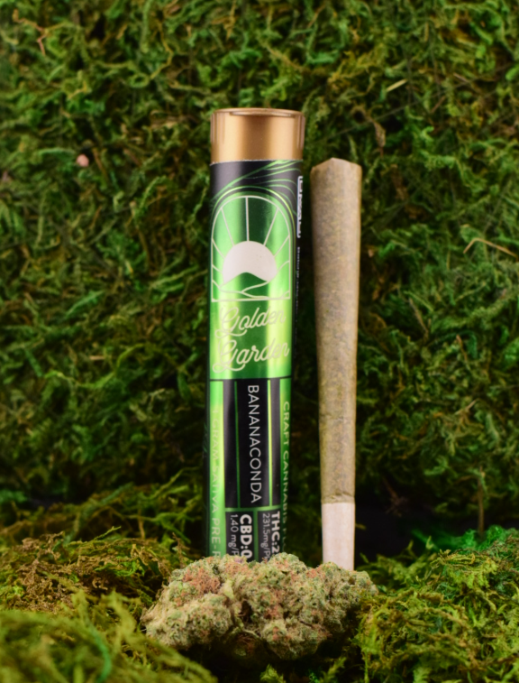 BANANACONDA | PRE-ROLL - 1 G