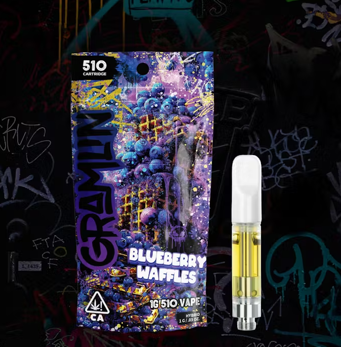 Blueberry Waffles Cartridge [H]