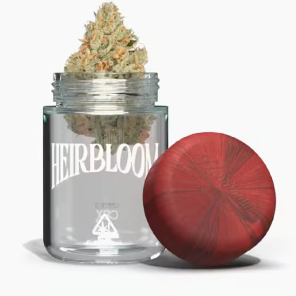 Original Glue [H]