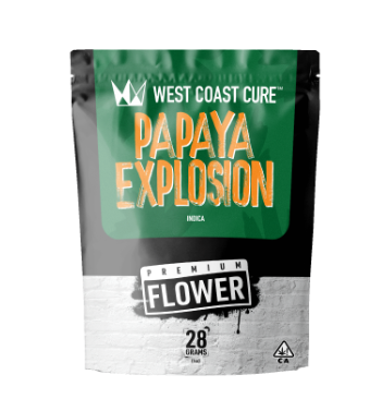 Papaya Explosion Premium Flower [I]