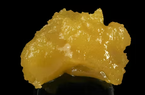 Hella Lemons Badder [S]