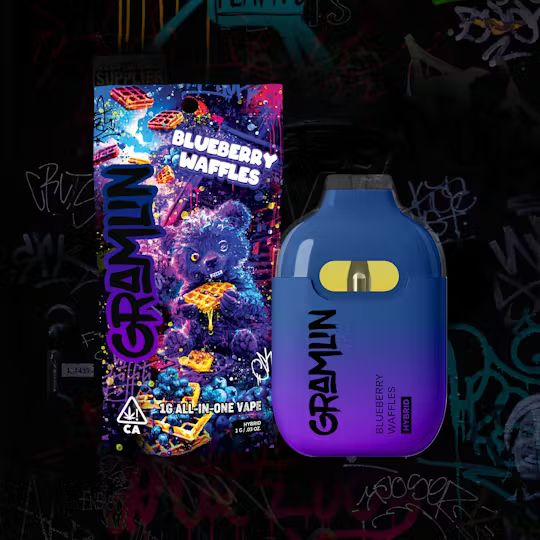 Blueberry Waffles All In One [H]
