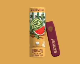Watermelon All In One [S]