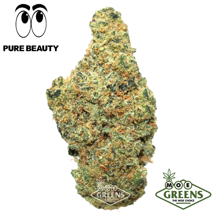 Pure Beauty — NEW JACK CITY #2