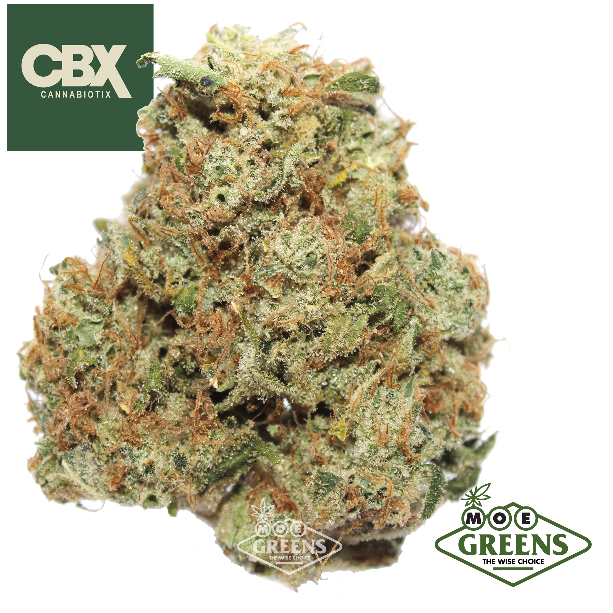 Cannabiotix — L'ORANGE