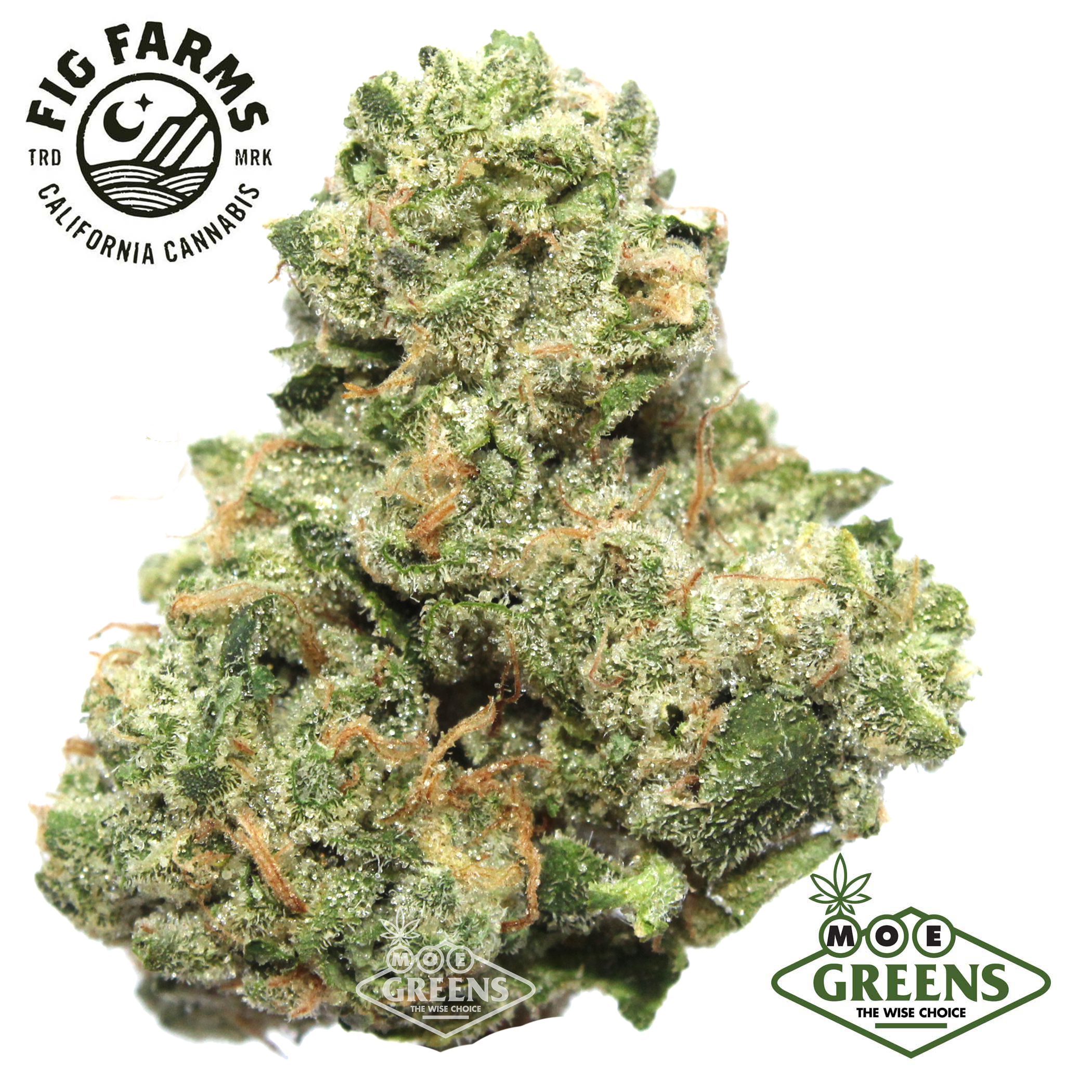 Fig Farms — ZOWAHH -