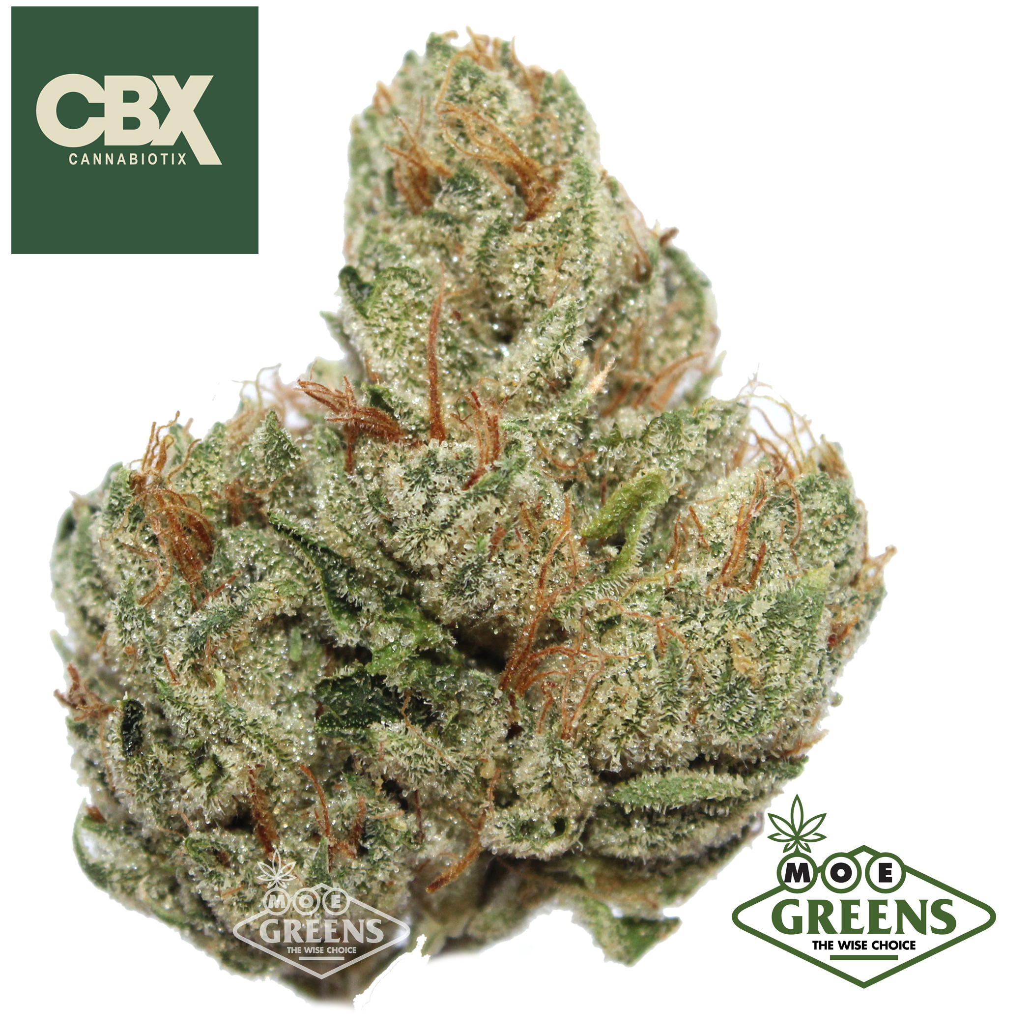 Cannabiotix — WHITE WALKER OG