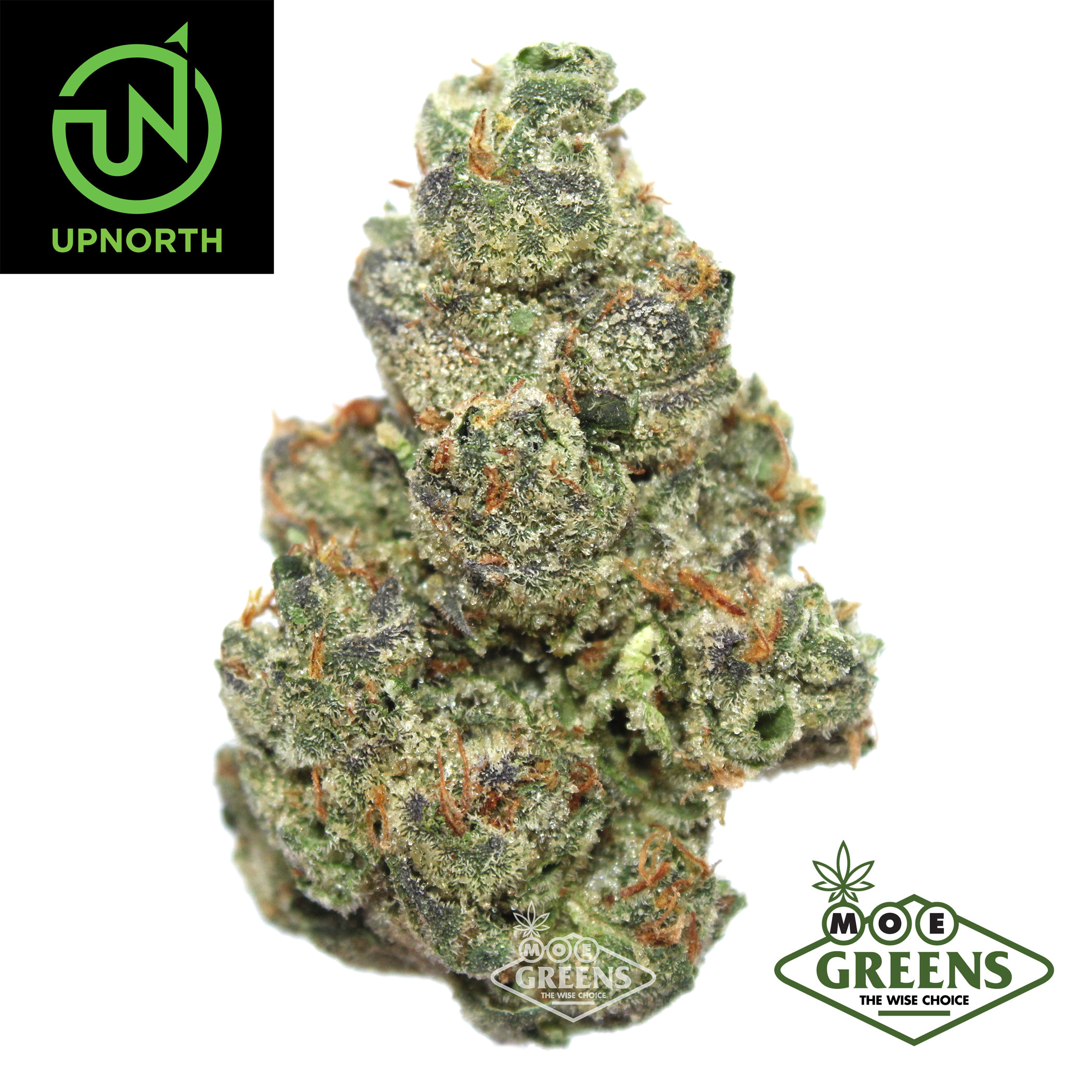 UpNorth: Nyc Diesel