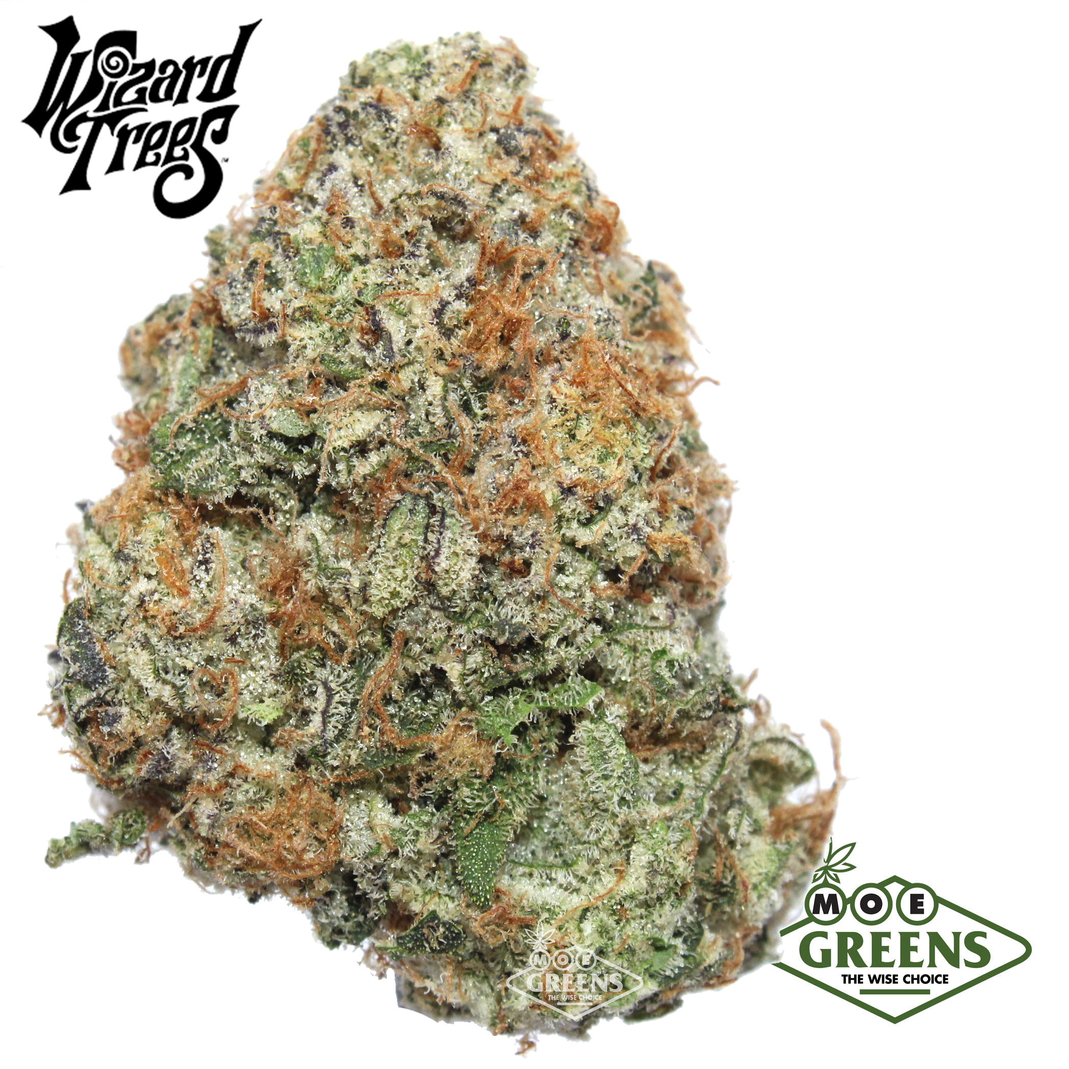 WIZARD TREES: Black Light