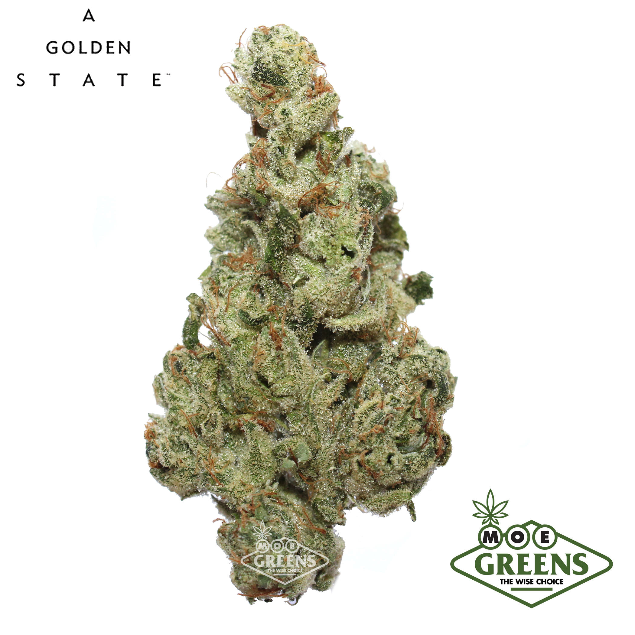 A Golden State: Shasta Bloom