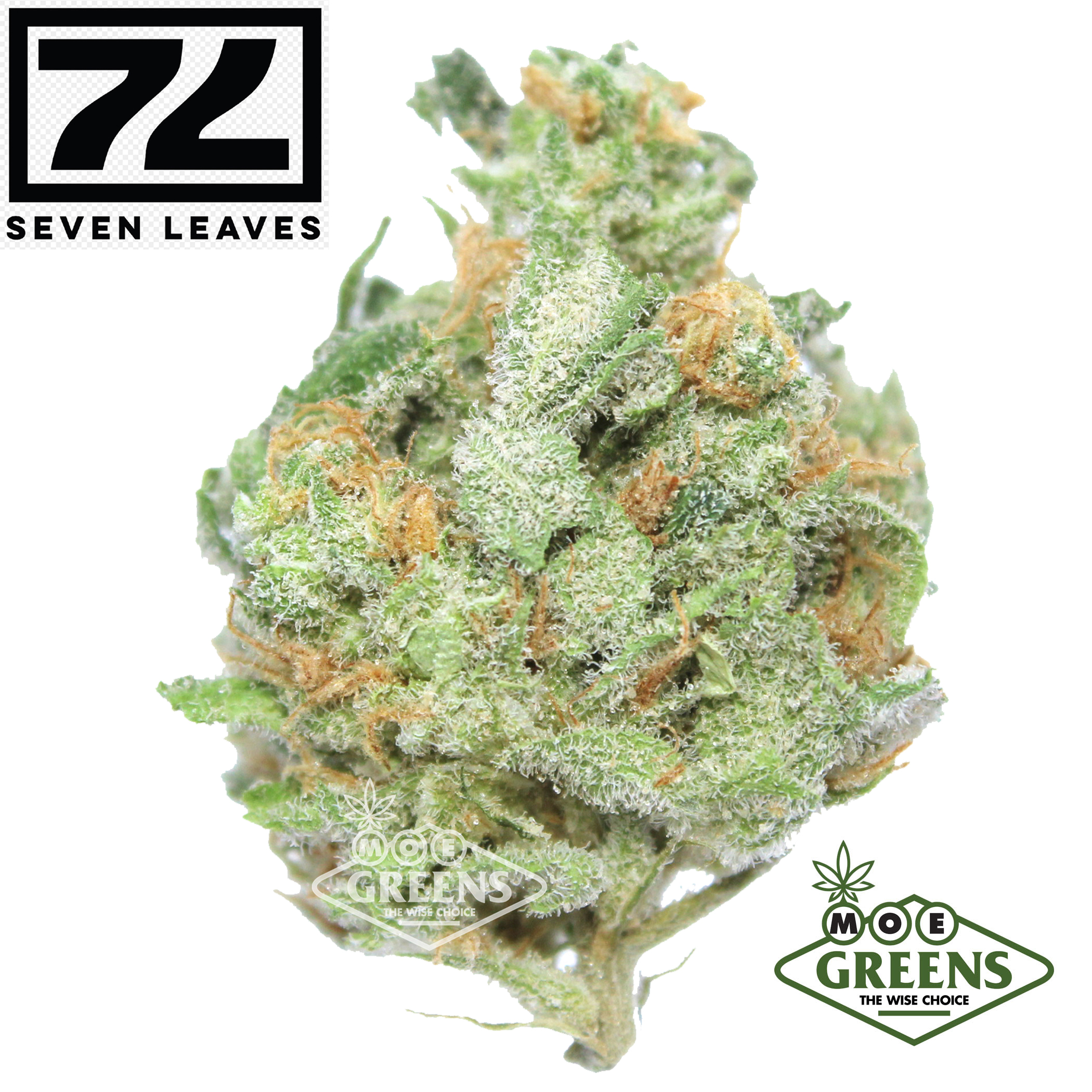 Seven Leaves — BLUE DREAM