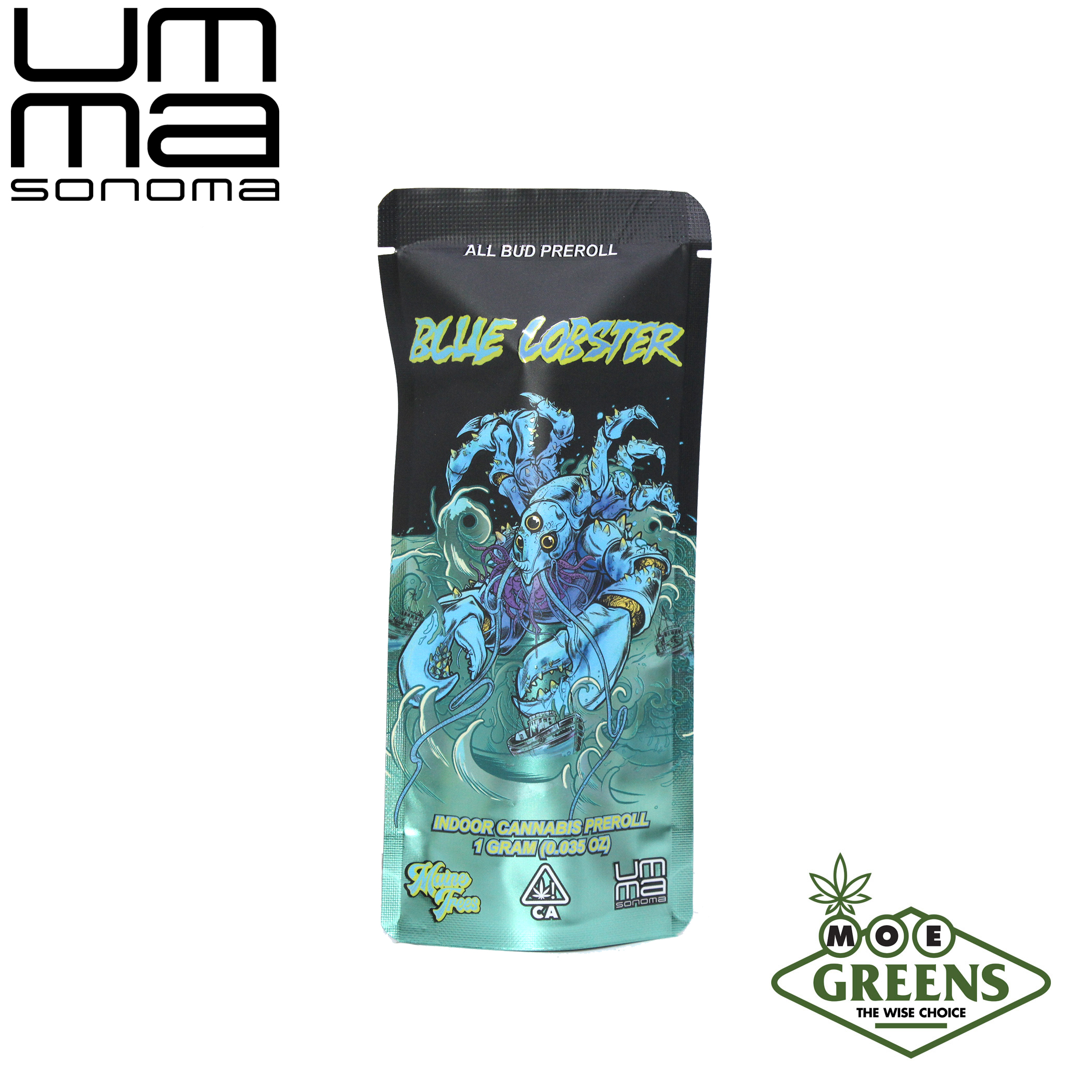 (5) UMMA SONOMA — BLUE LOBSTER -