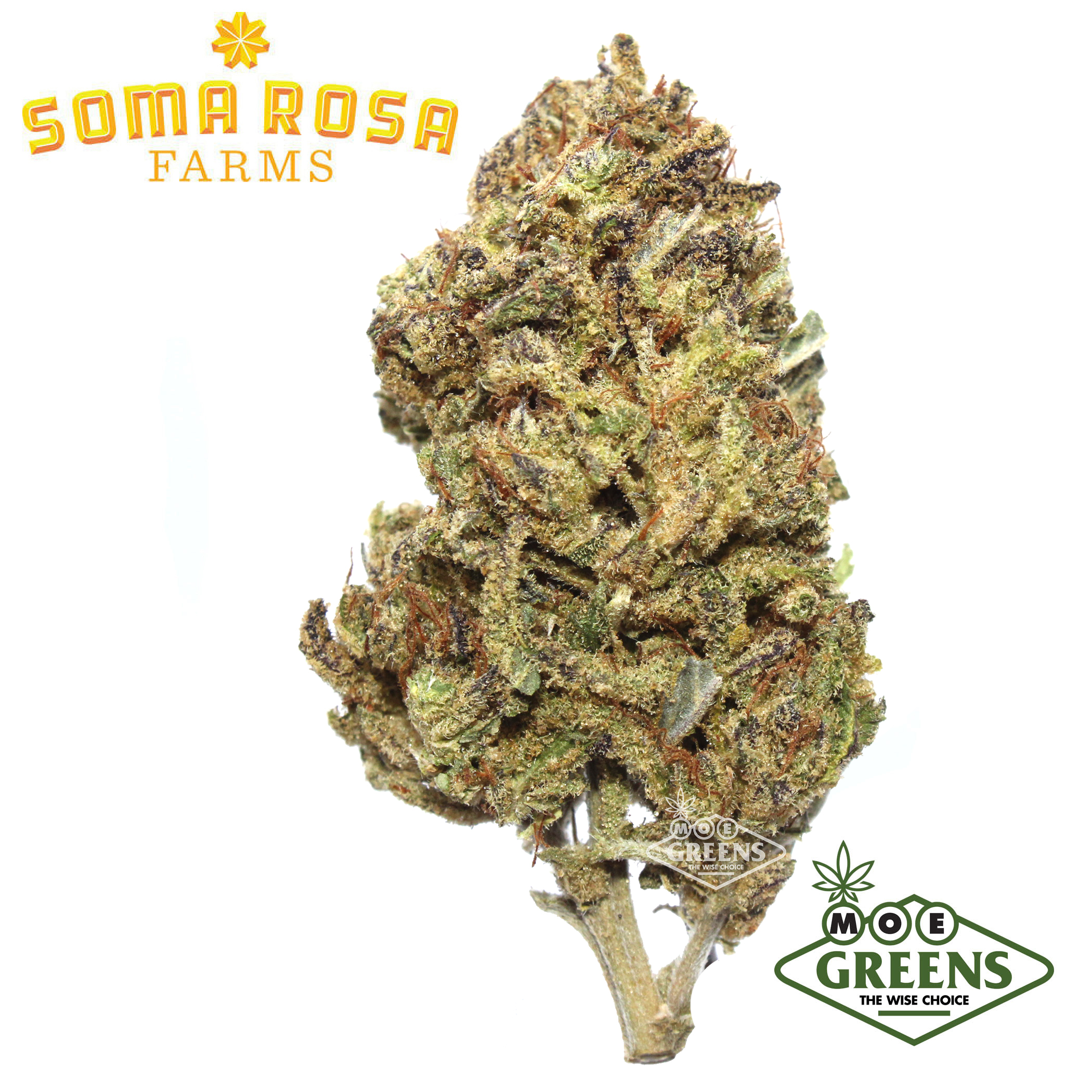 Soma Rosa: Berry Drip