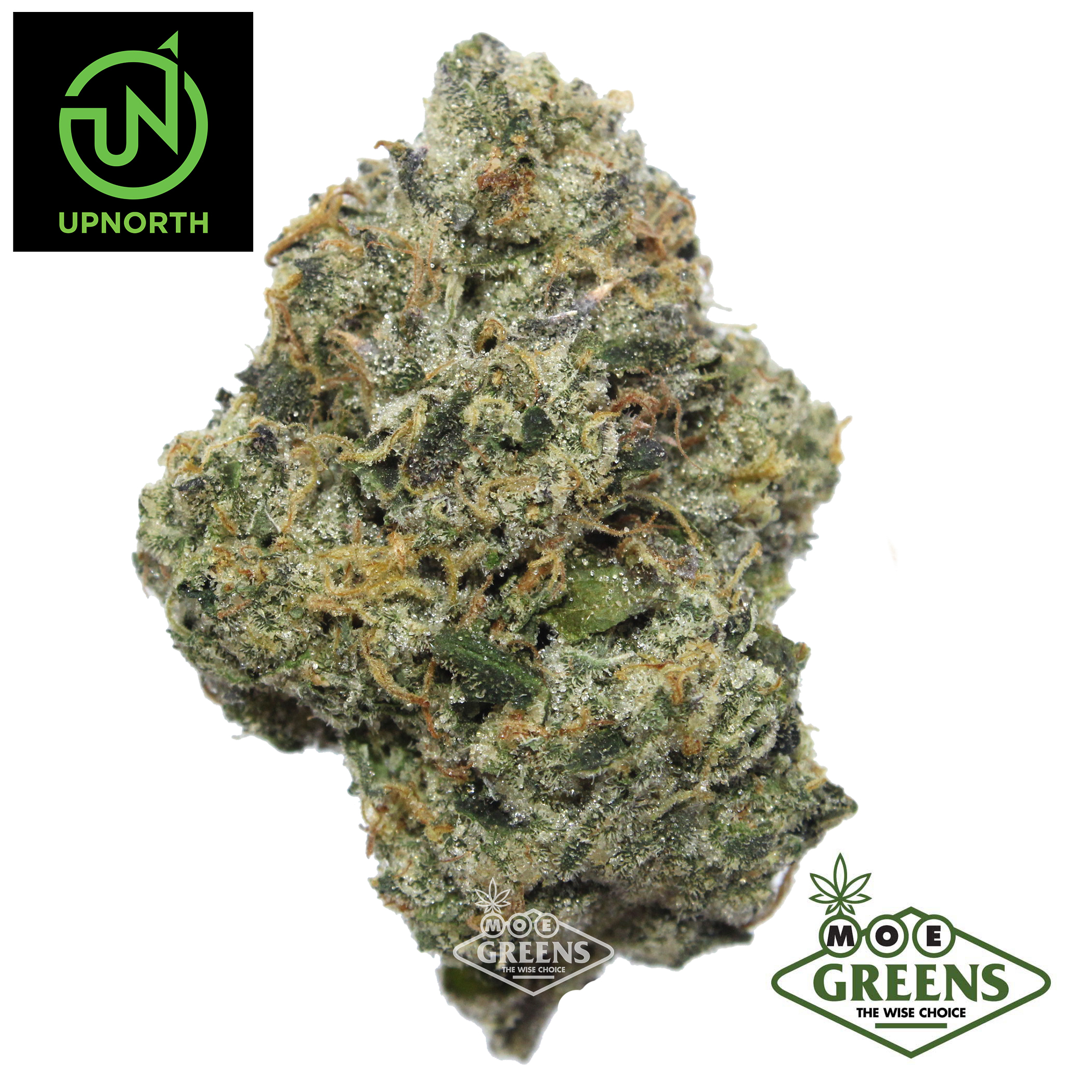 UpNorth — MASTER KUSH -