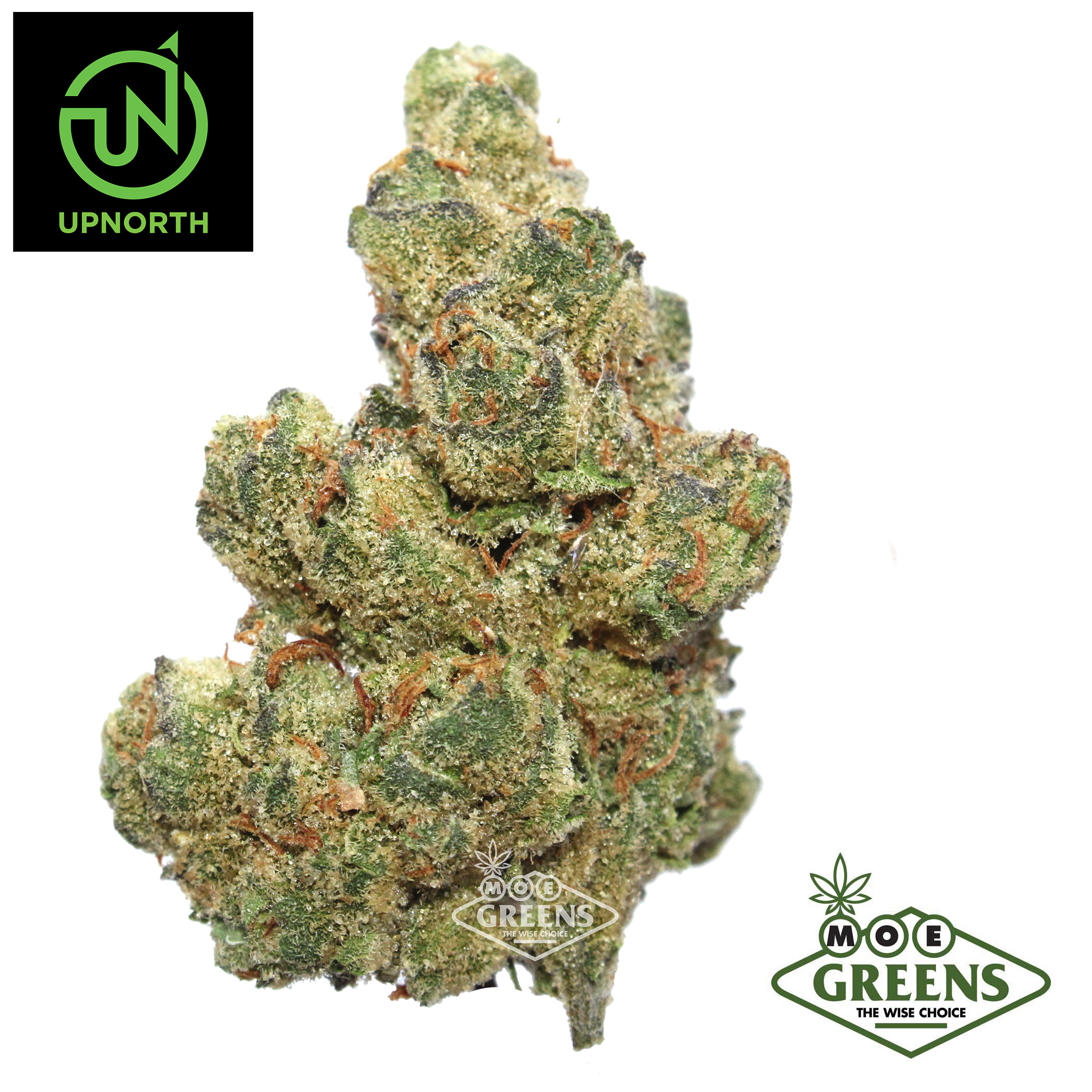 UpNorth — CHERRY PIE -