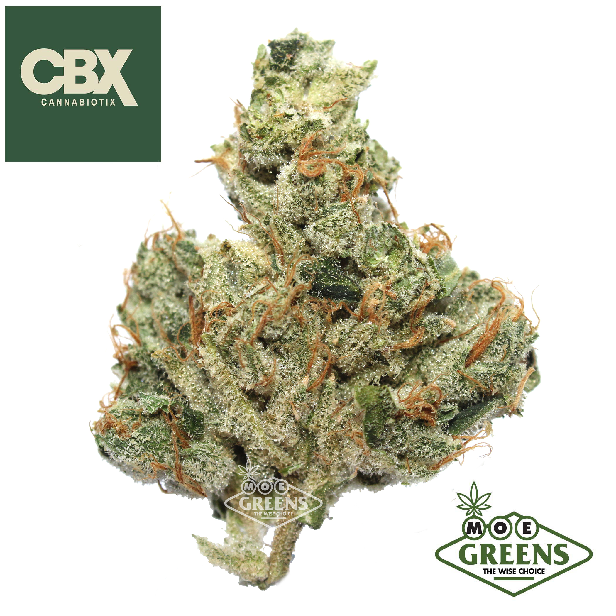 Cannabiotix: Super Mango Haze
