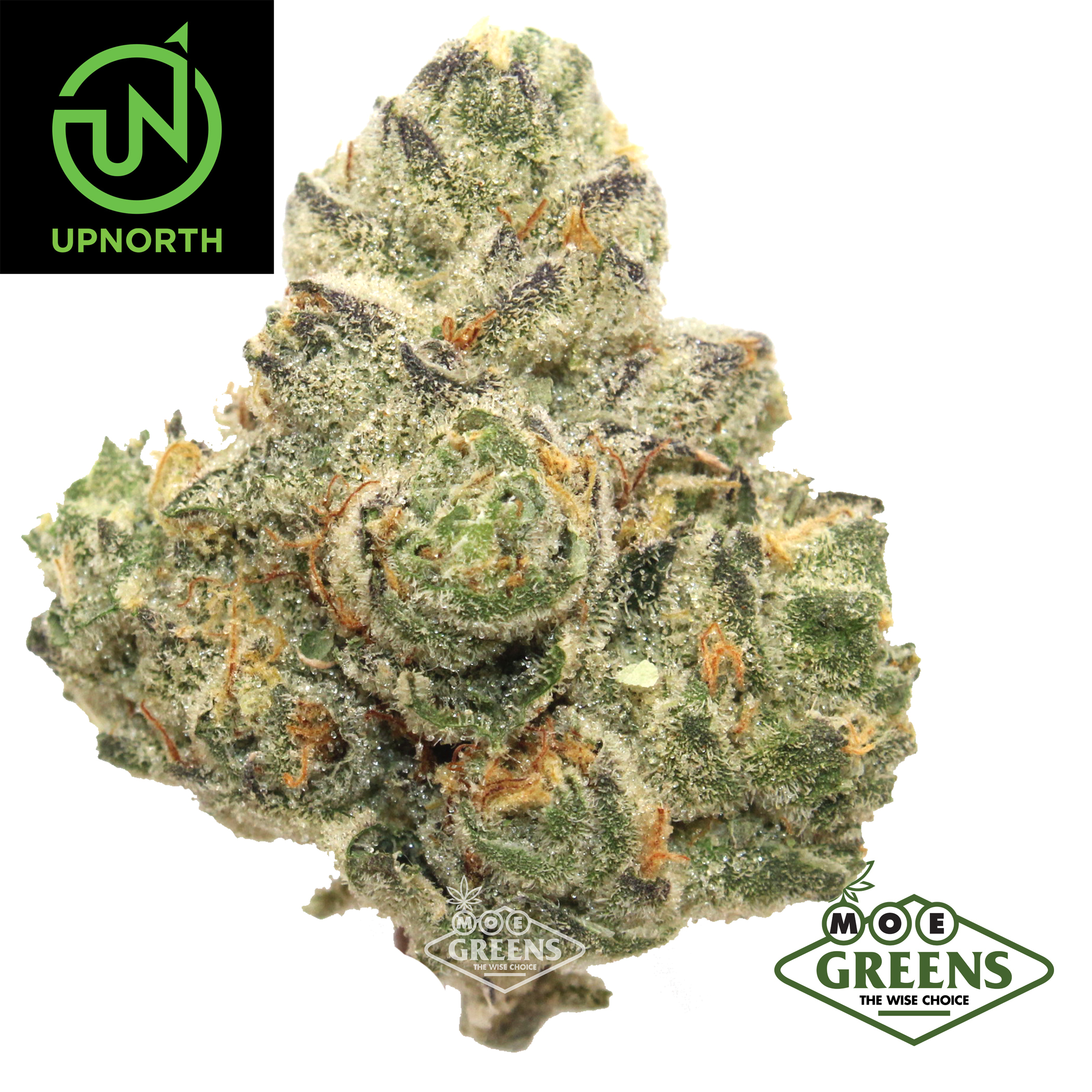 UpNorth: Cali Gas OG