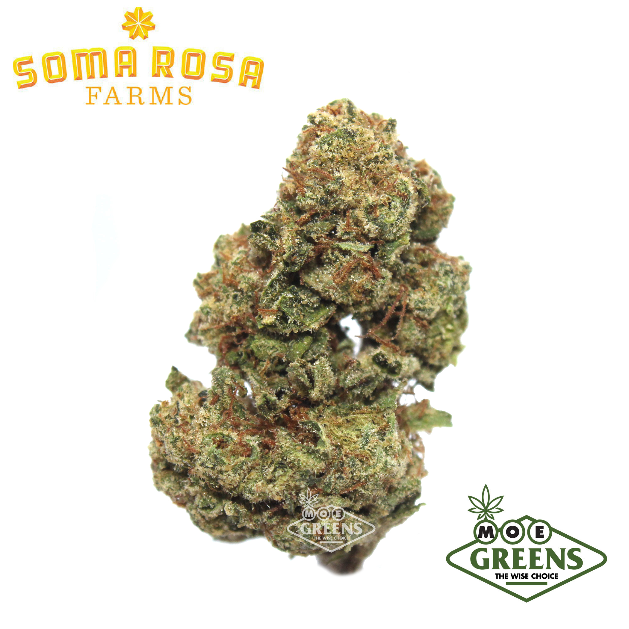 Soma Rosa — BUDDHA'S HAND