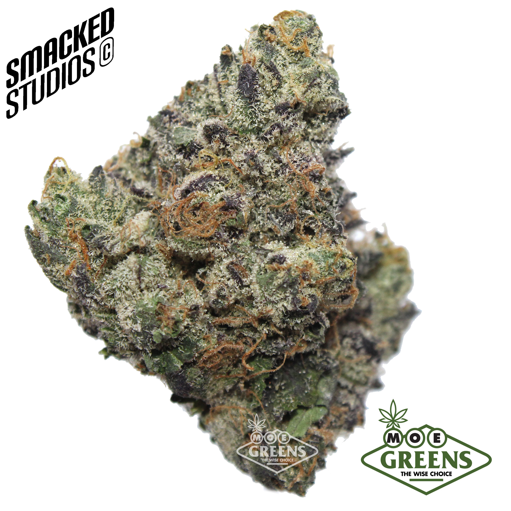 Smacked Studios — ZERBERT