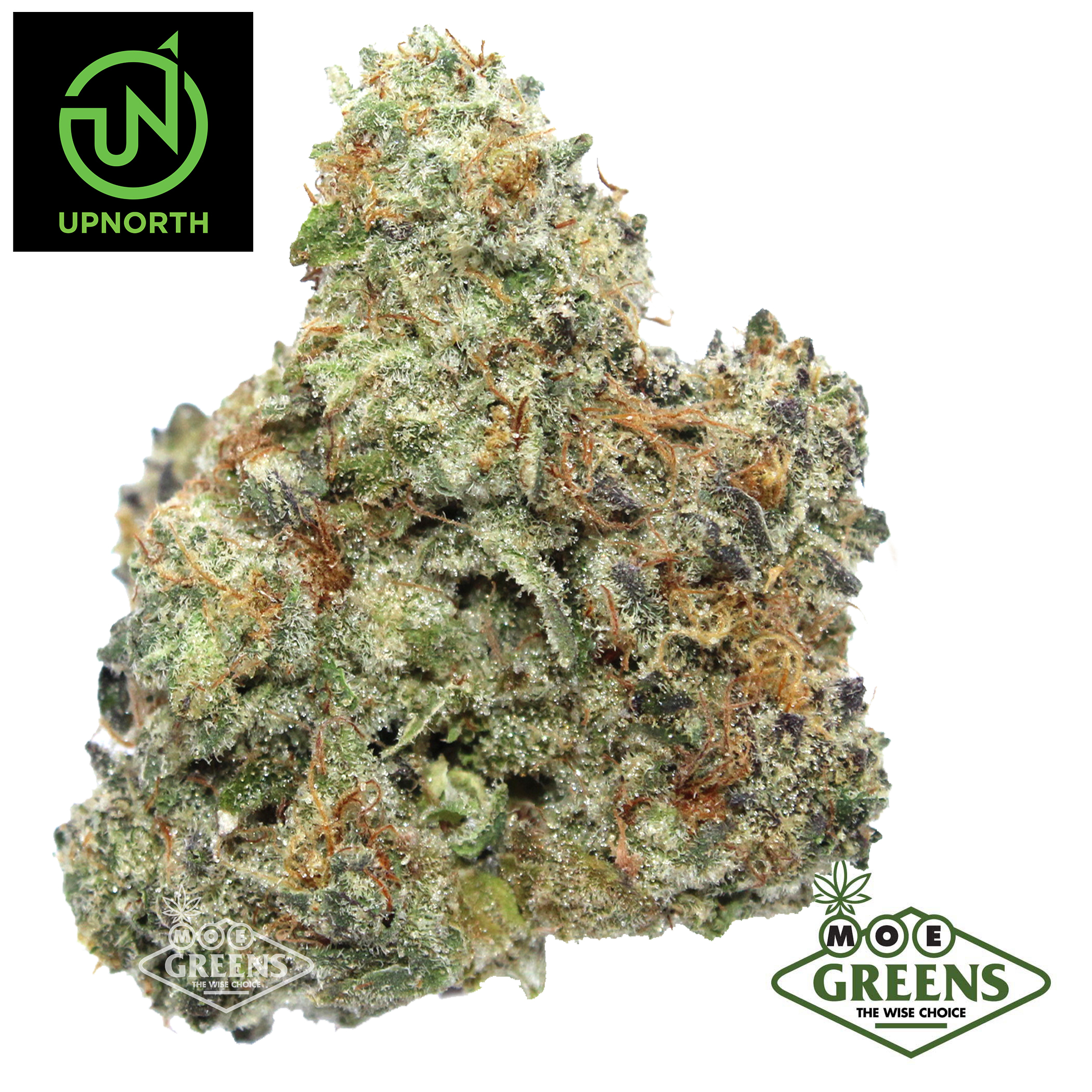 UpNorth: Strawberry Cough