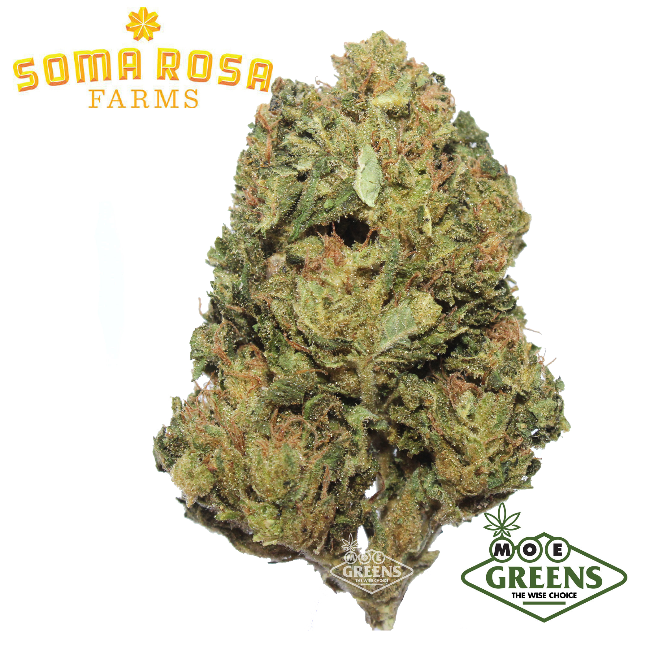 Soma Rosa: Georgia Cream