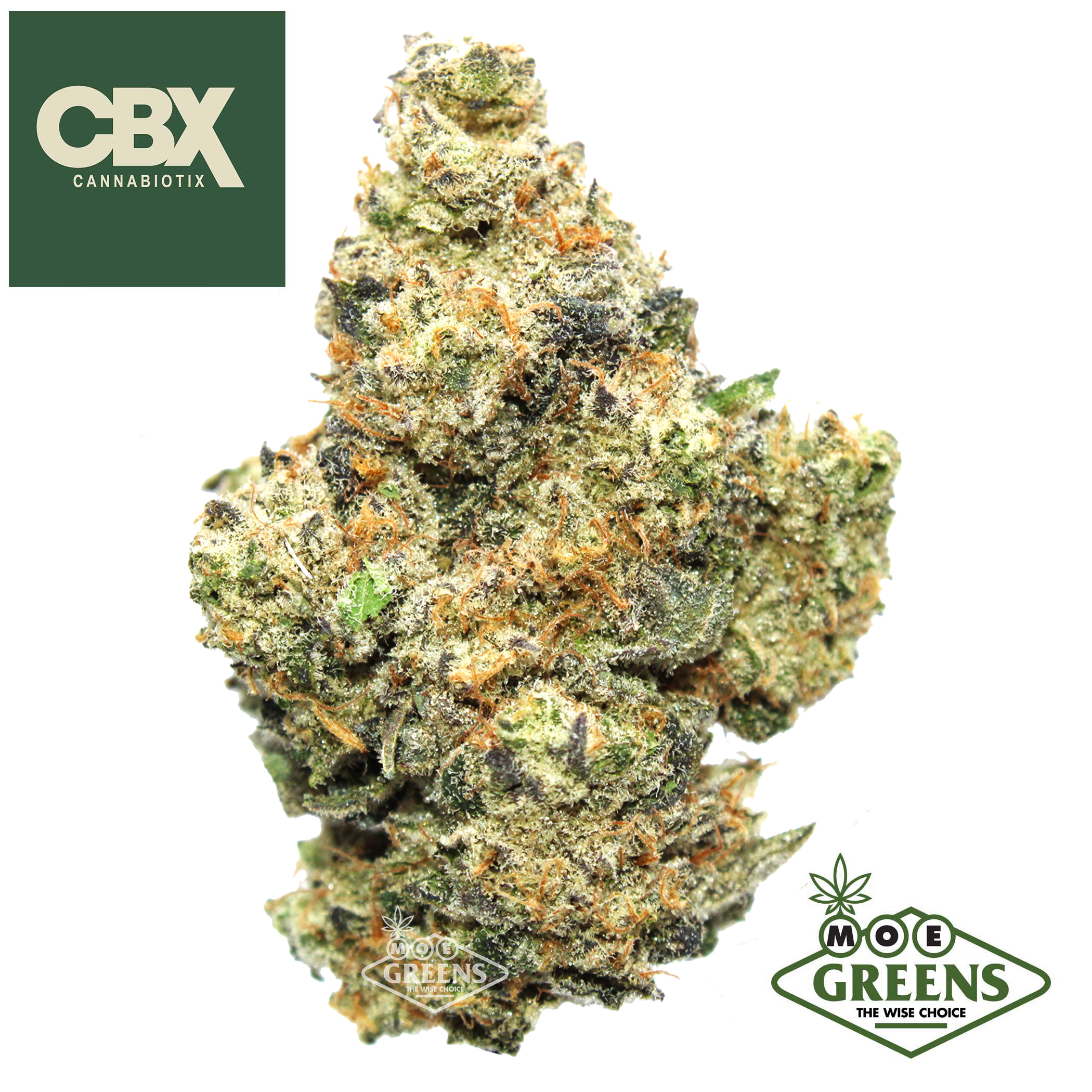 Cannabiotix: Mount Zereal Kush