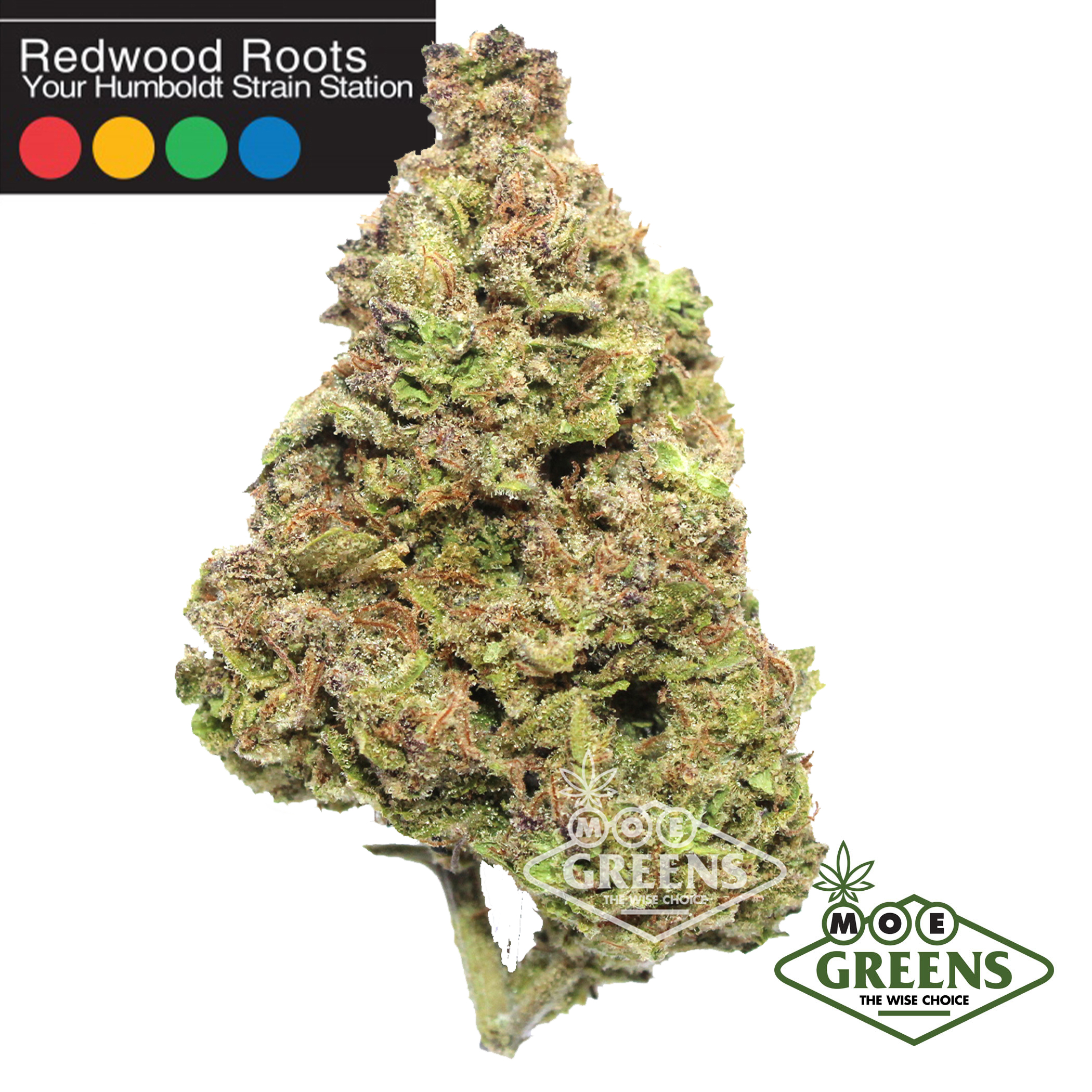 Redwood Roots: Blueberry