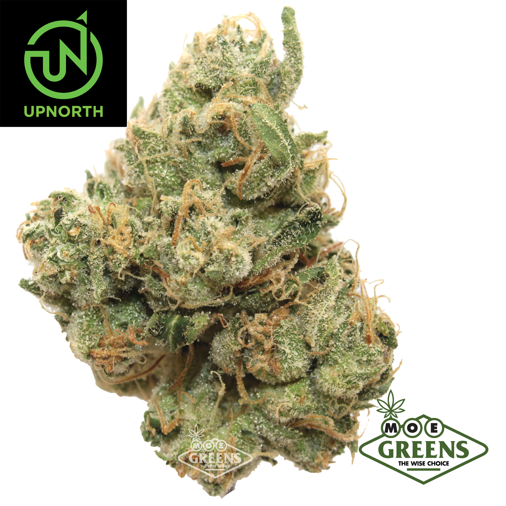 UpNorth: Cherry AK