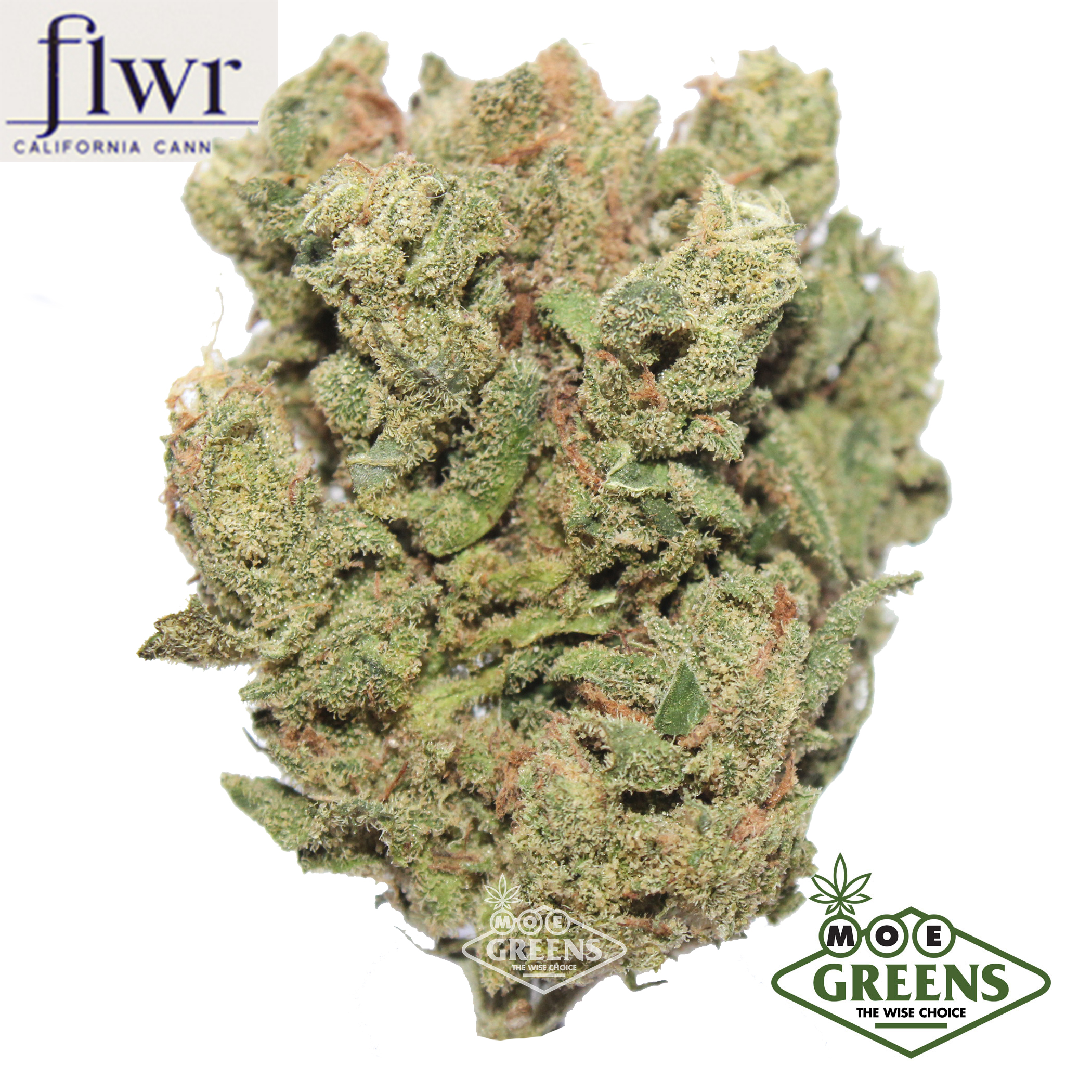 FLWR — BURNING BLUE ENERGIZE -