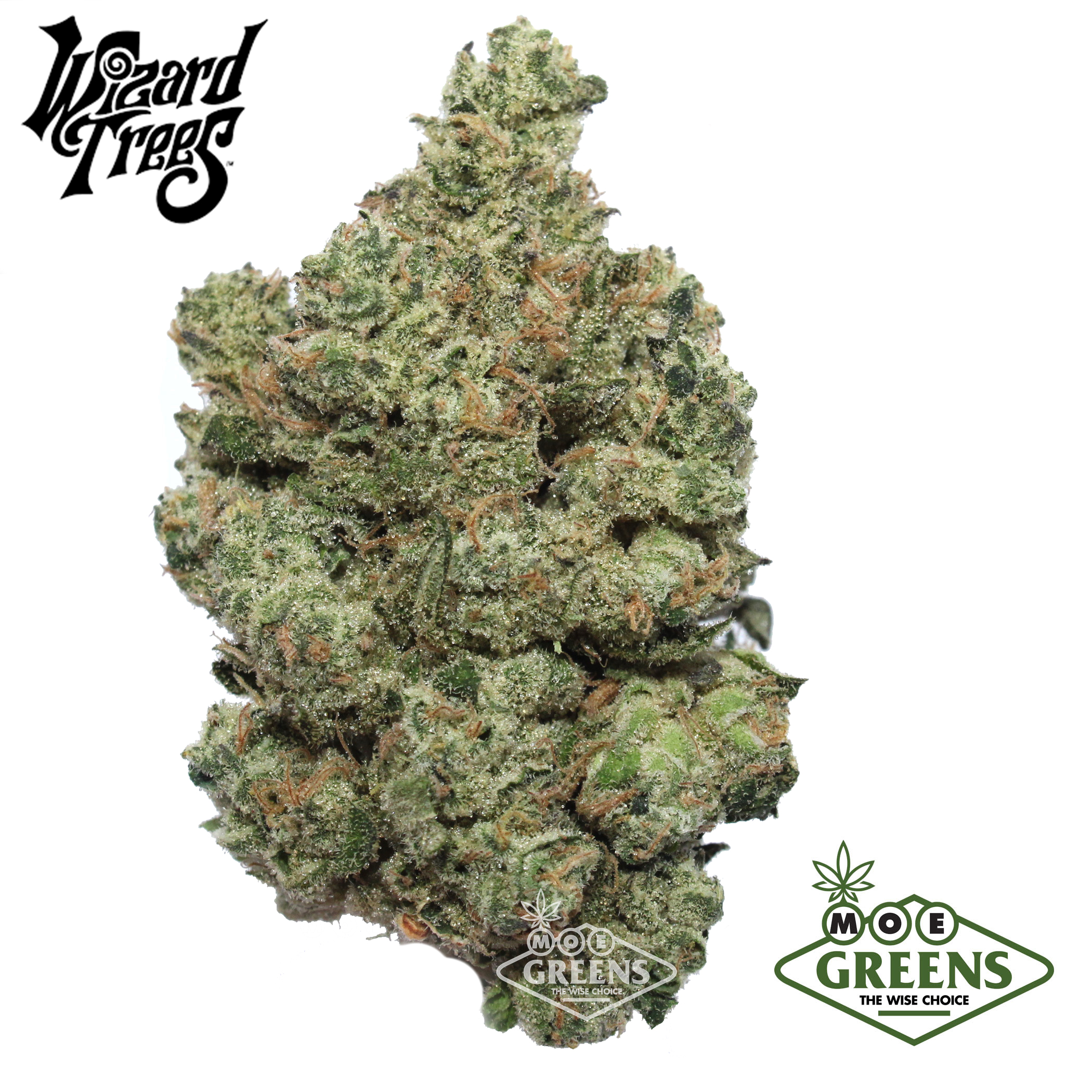 WIZARD TREES — BLUE MAGIC -