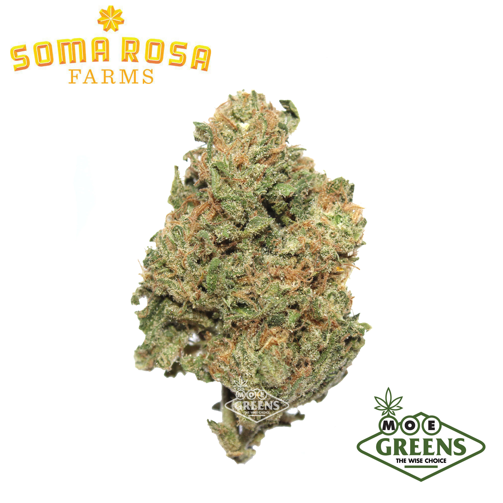 Soma Rosa: Blue Dream