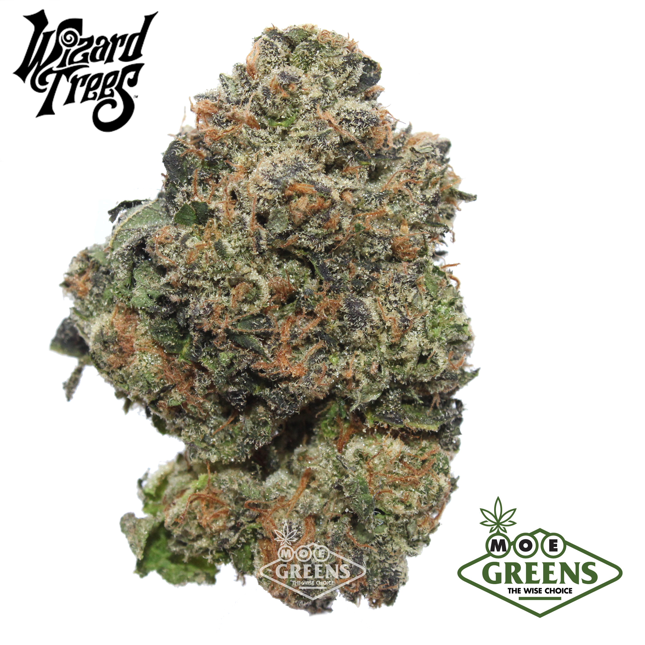 WIZARD TREES — ZANGBANGER -