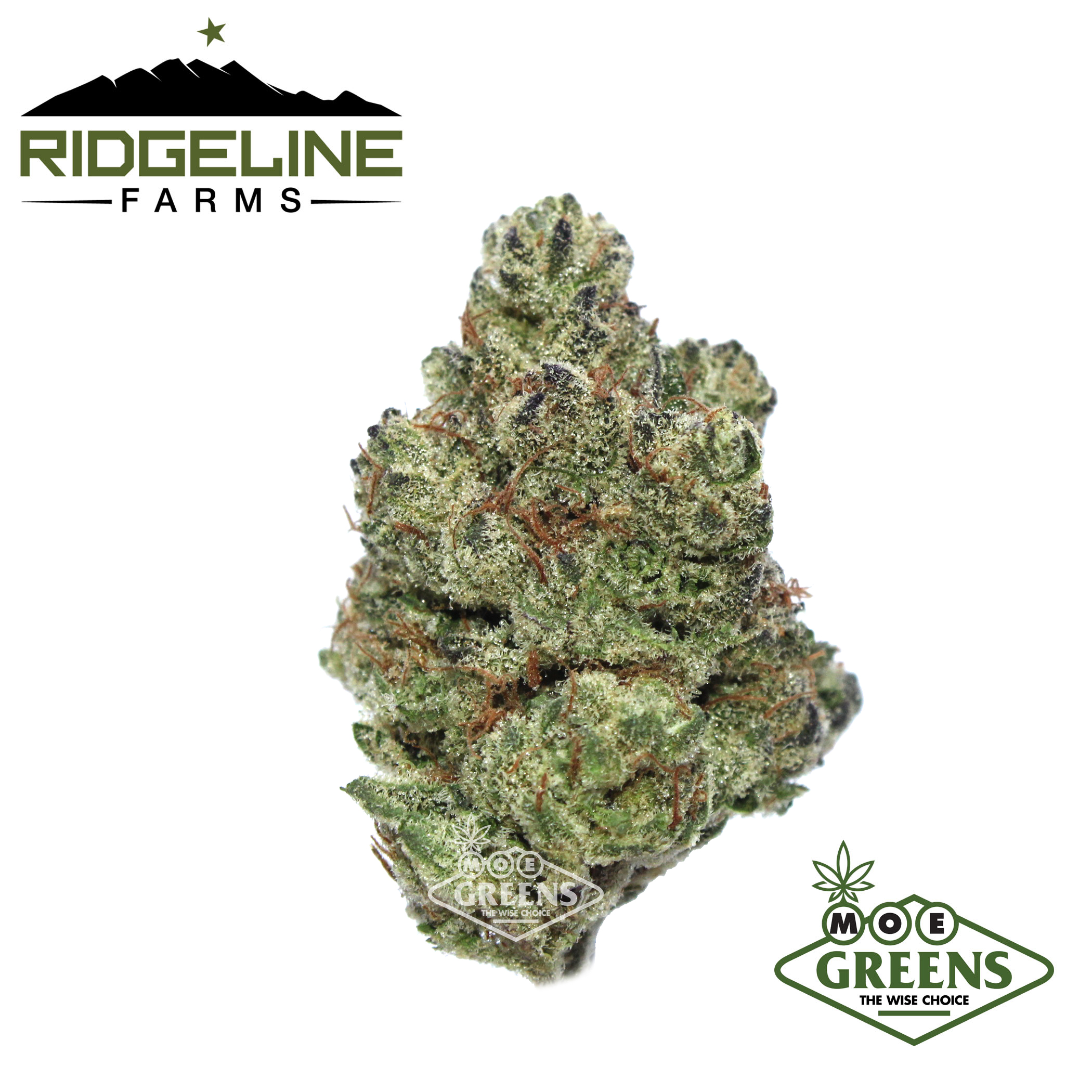 RIDGELINE FARMS — RIDGELION