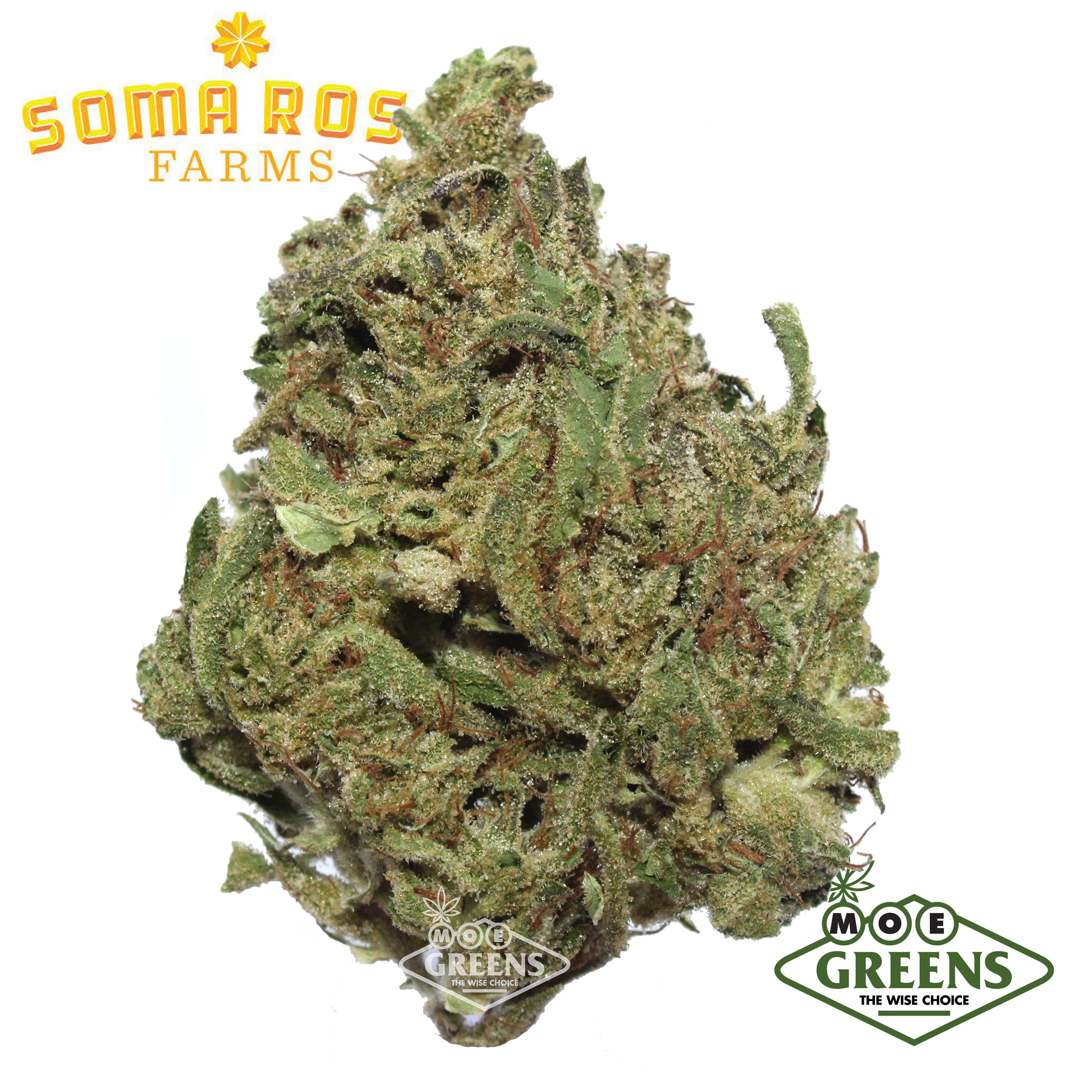 Soma Rosa: Raspberry Cough