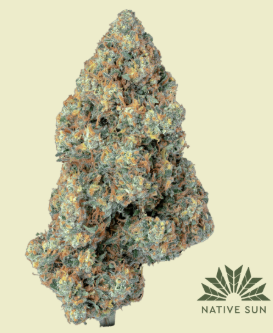 COUGH BX1 V3 (S) | 3.5G