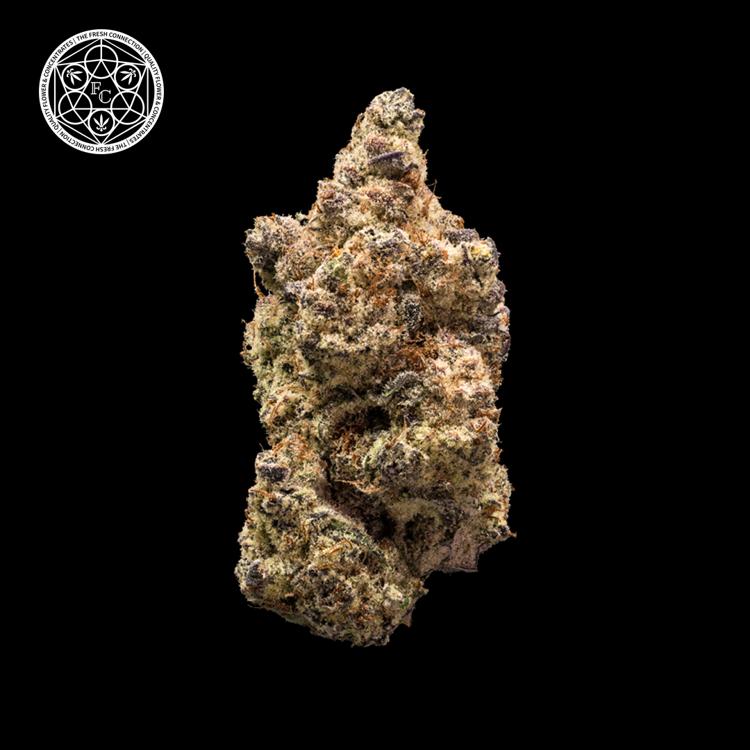 DISCO INFERNO | 1G