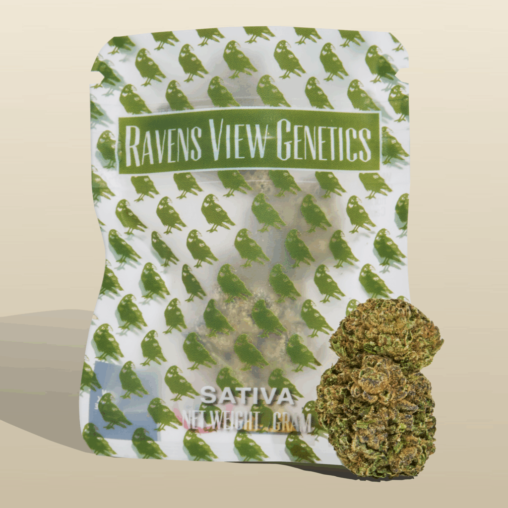 FLOWER - DIME - LEMON PINES