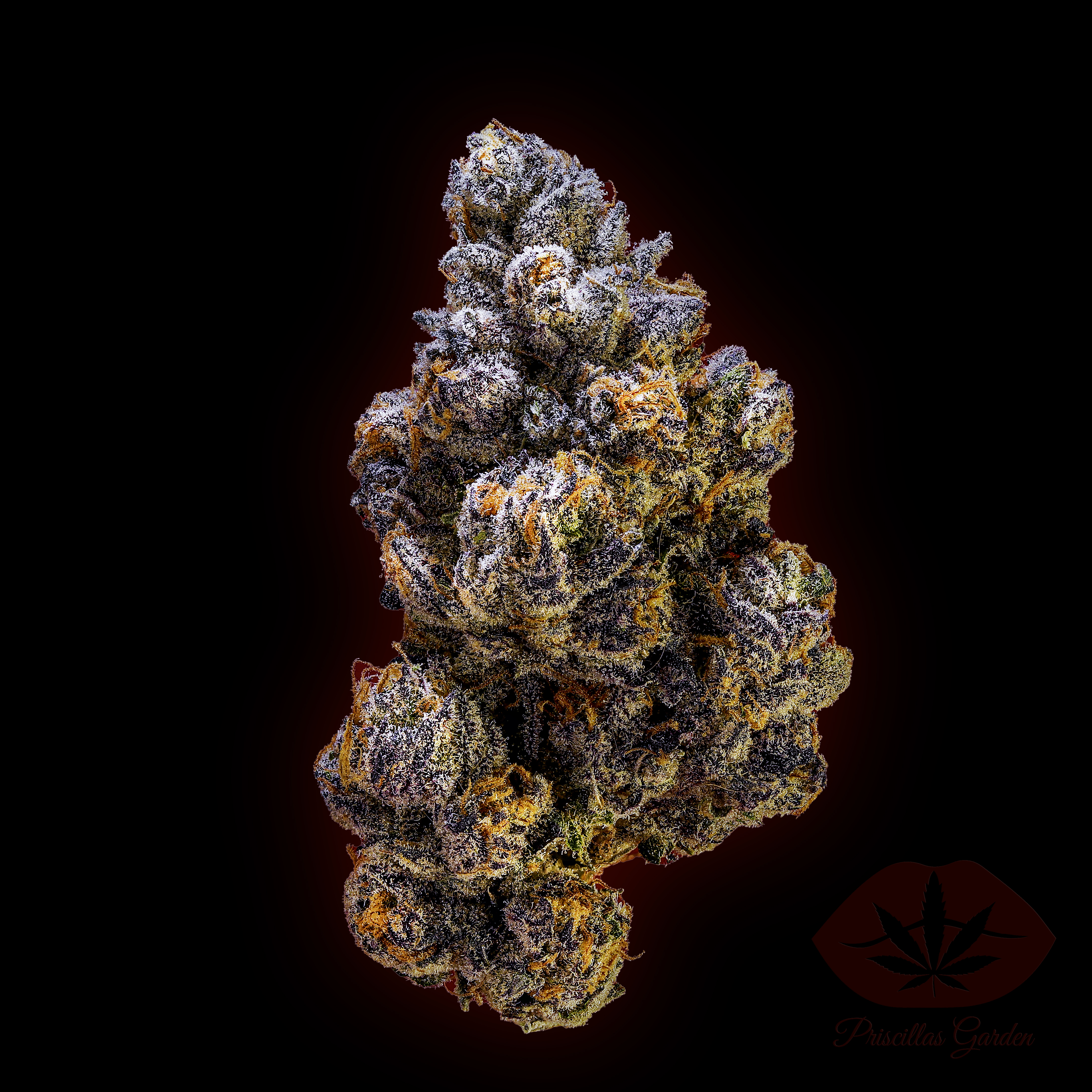 FLOWER - BUBBLEGUM RUNTZ