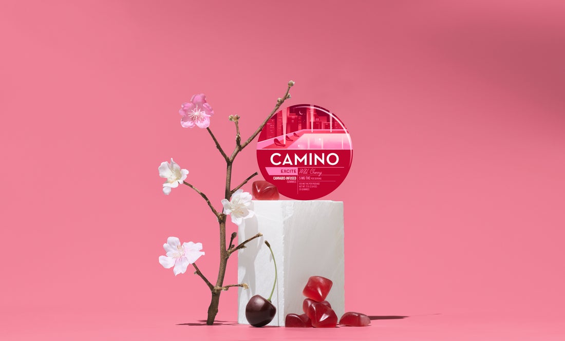 GUMMIES - WILD CHERRY