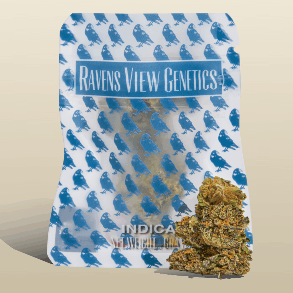 FLOWER - DIME - GARLIC BUDDER