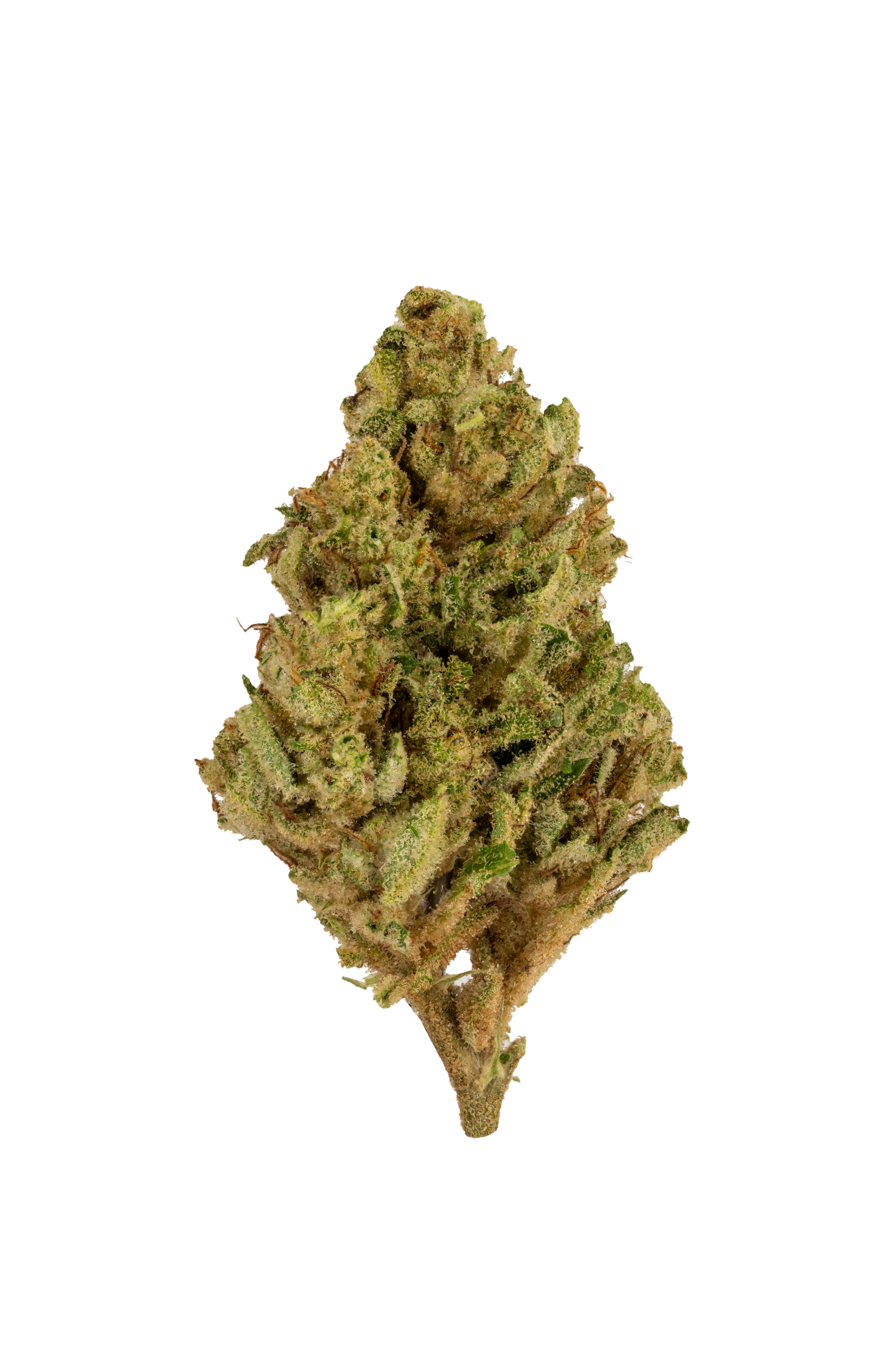 FLOWER - JET FUEL GELATO