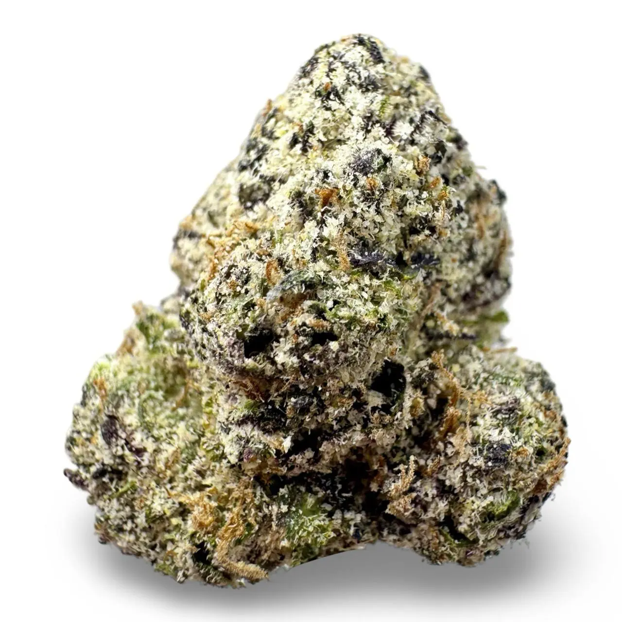 FLOWER - BIG DADDY BLUE