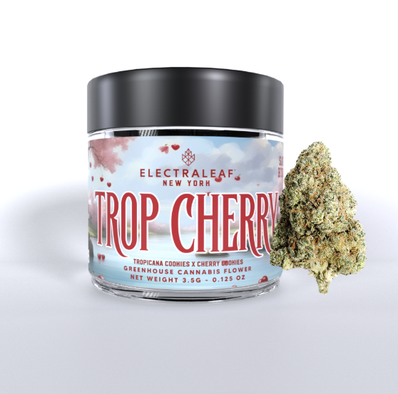 FLOWER - TROP CHERRY