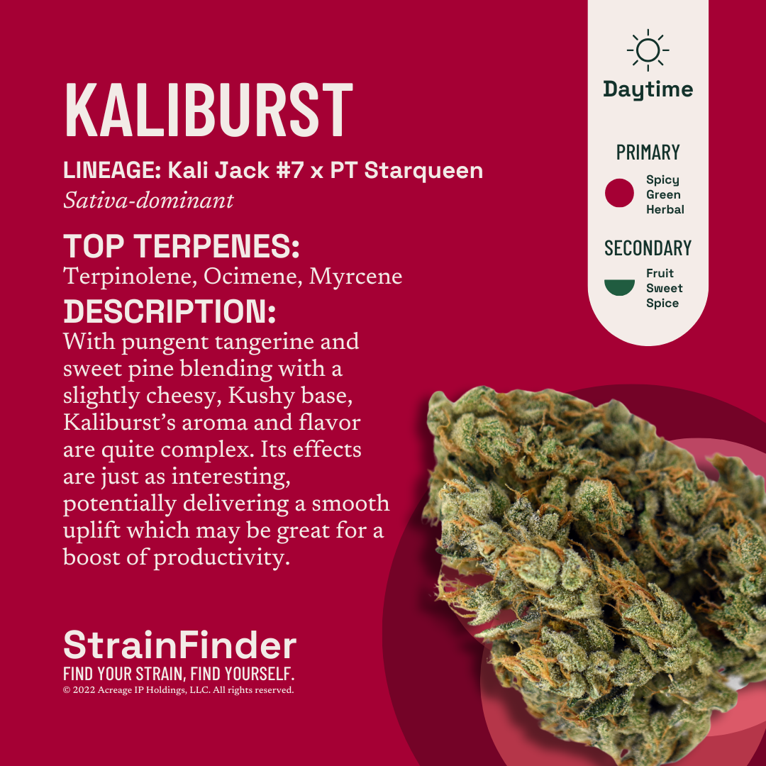  FLOWER - KALIBURST 