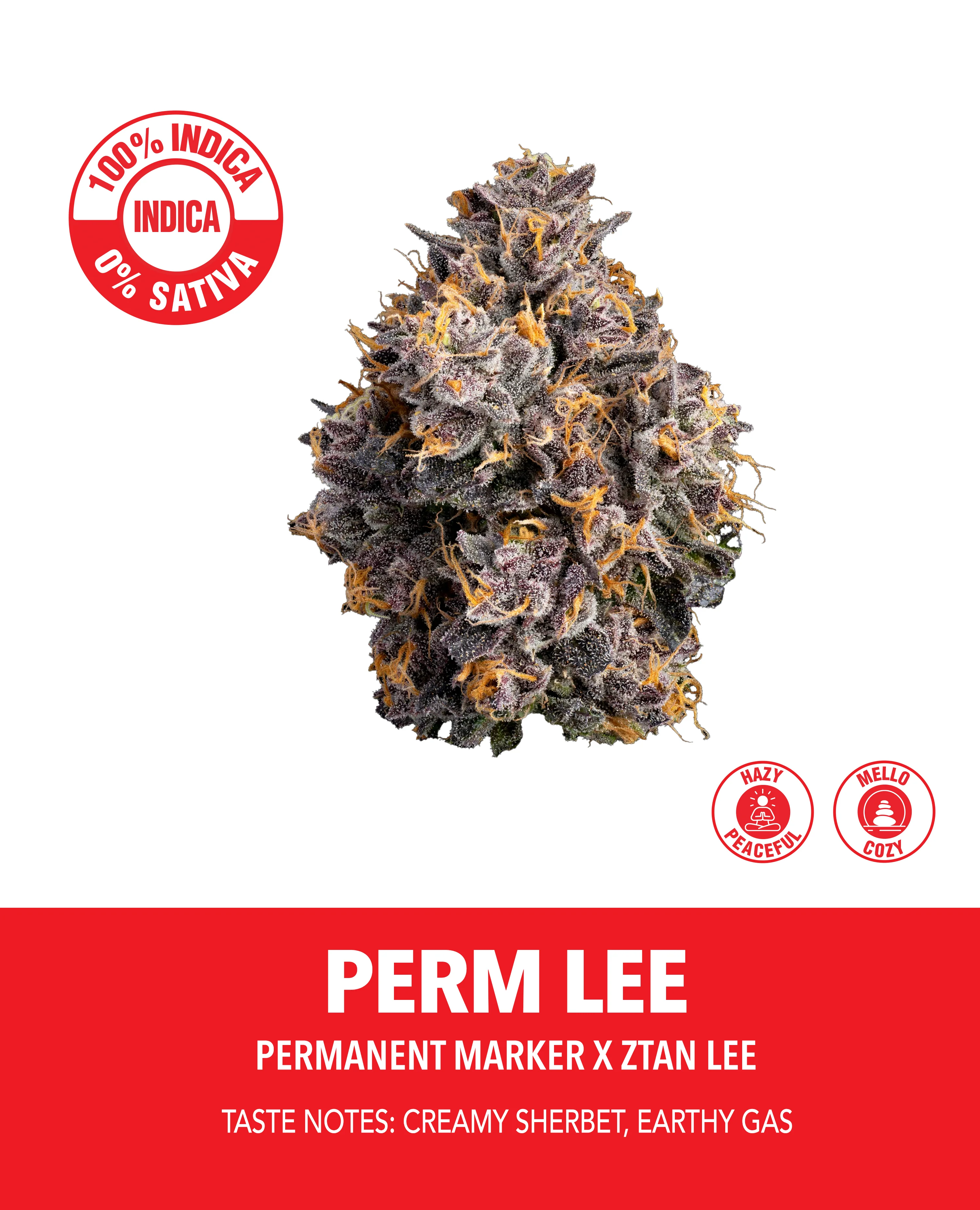 FLOWER - PERM LEE
