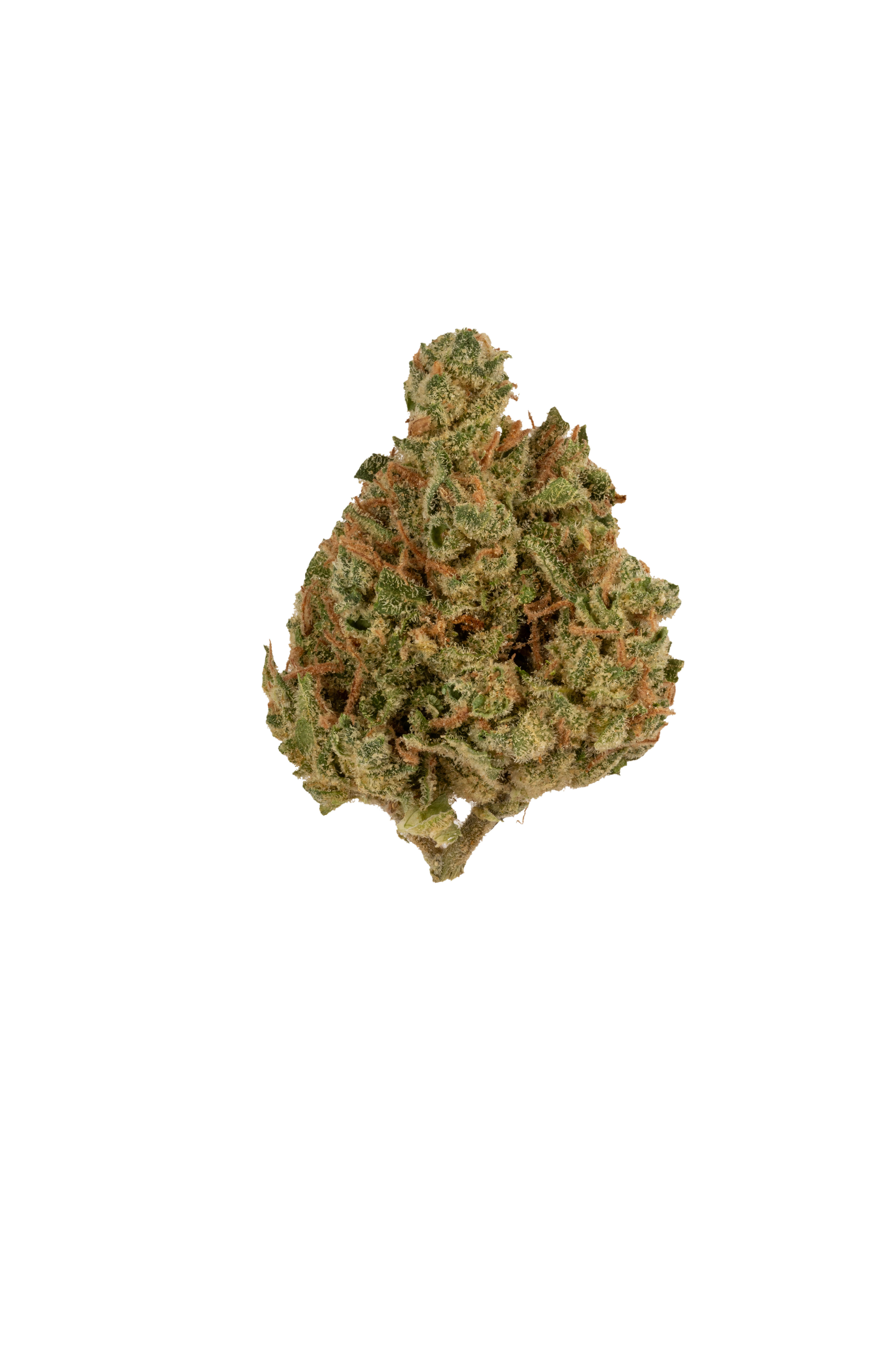  FLOWER - GAS FACE 