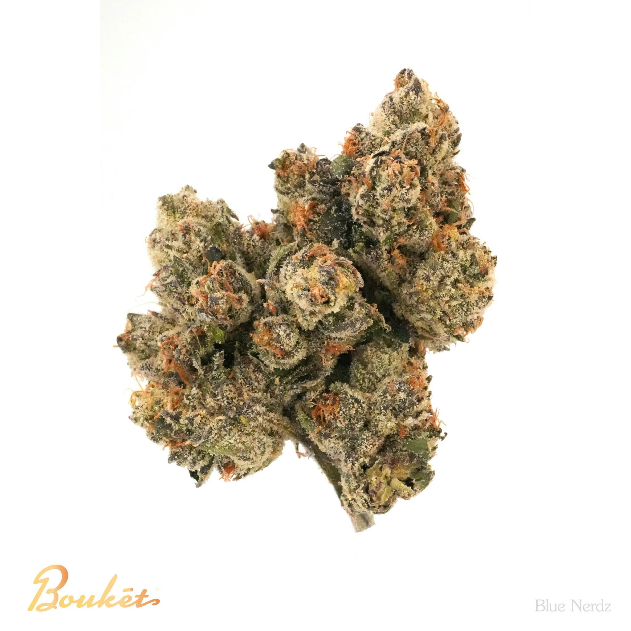 FLOWER - BLUE NERDZ