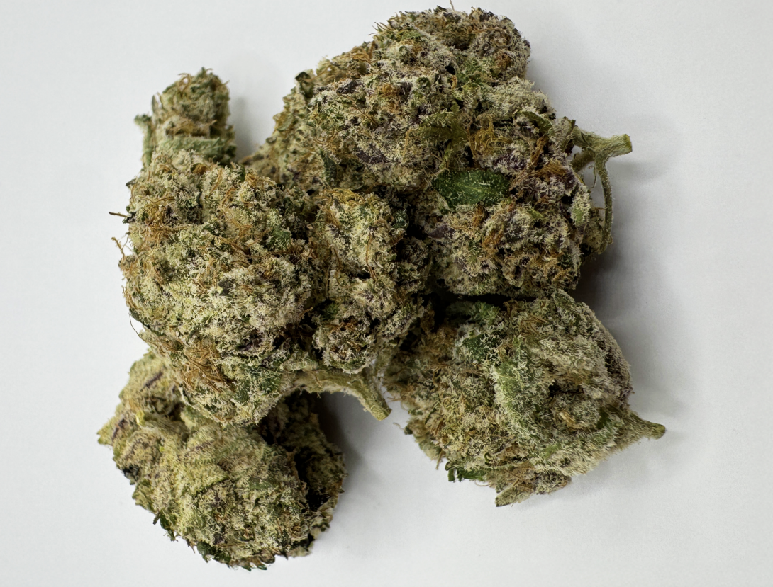 FLOWER - VELVET GAS